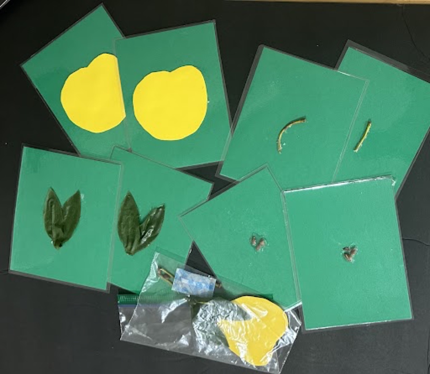 Apple matching tactile activity cards