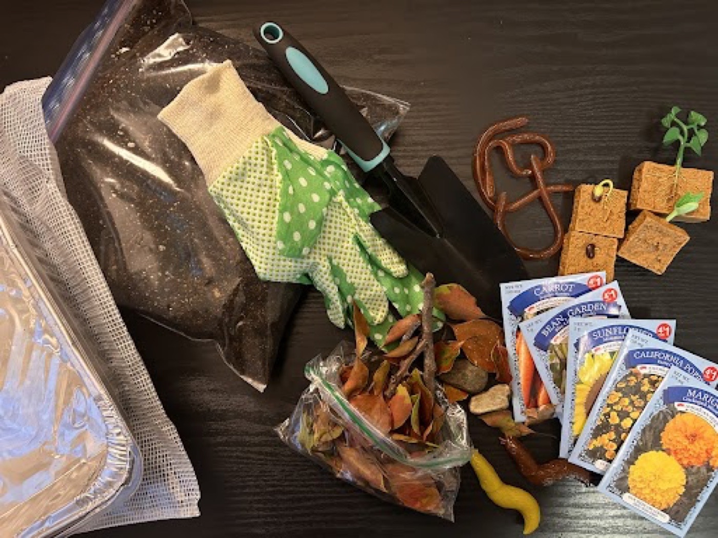Gardening expanded core curriculum kit